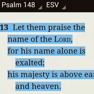 Meet your Posher, Martin